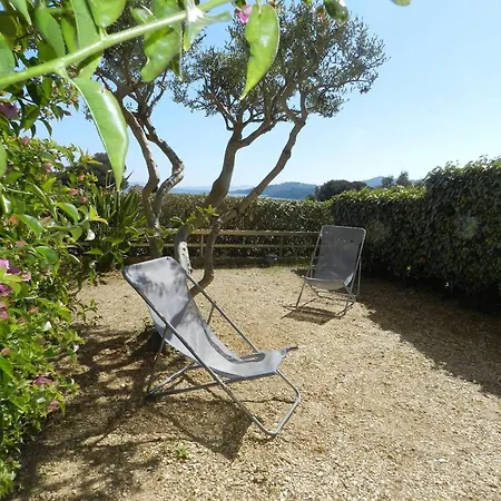 2 Pieces Avec Terrasse Proche - Fr-1-251-922